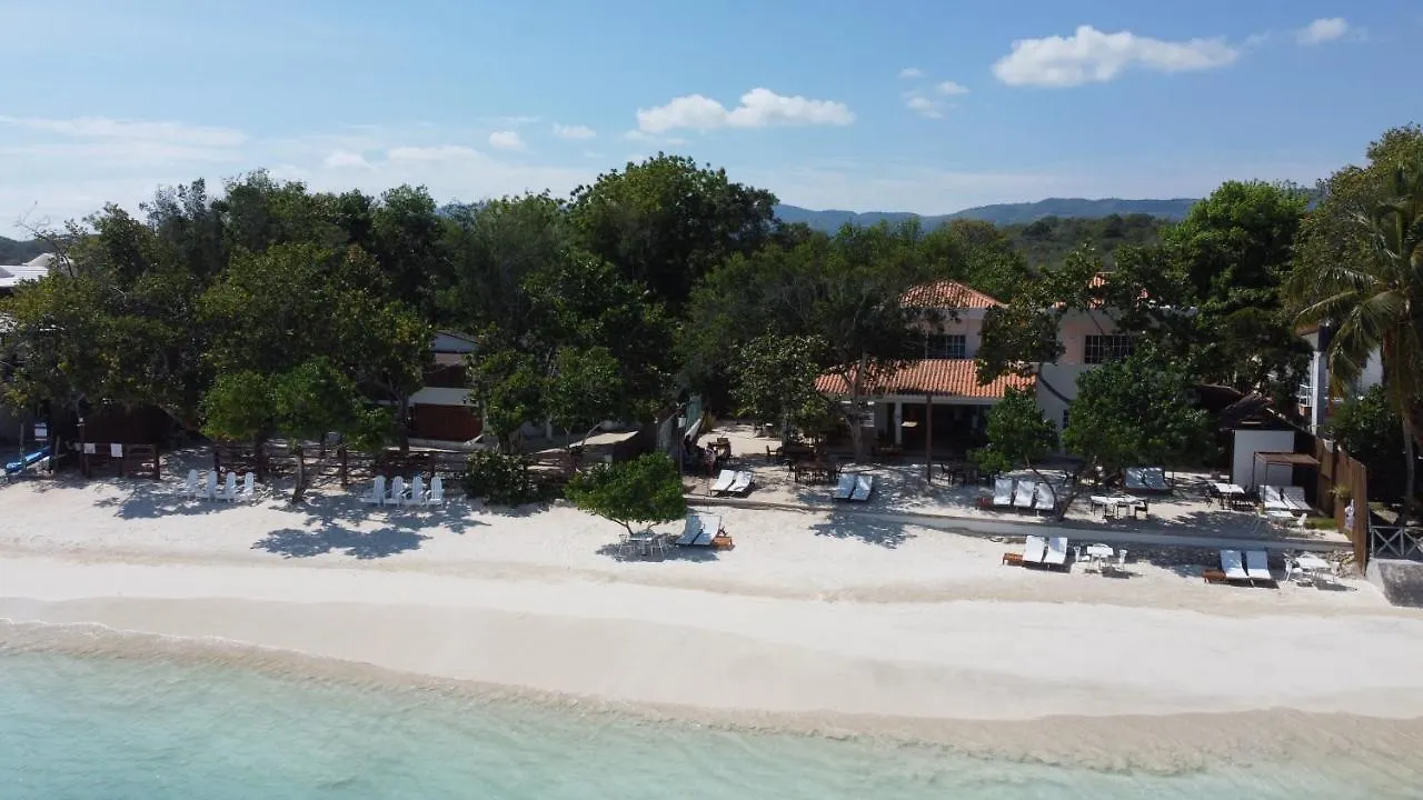 Hotel Blue Island Punta Rucia